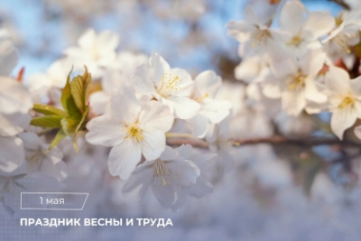 Поздравление Председателя СК России А.И. Бастрыкина с Праздником Весны и Труда /    