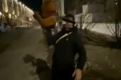 В Якутске вандалы осквернили скульптуру совы / Саина Титова Якутск Якутск Республика Саха (Якутия)