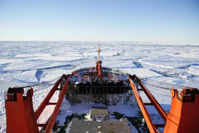 Полярники Антарктиды проведут турнир по мас-рестлингу /    