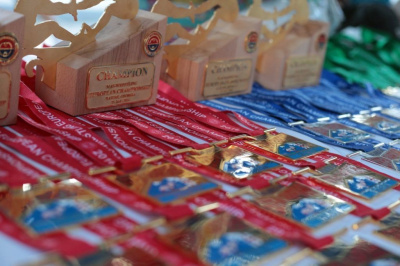 Чемпионат Европы по мас-рестлингу-2016. День второй. Фото. /    