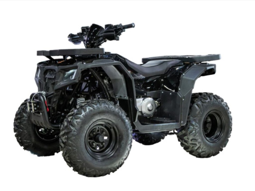 Квадроцикл PROGASI Race Jumper 200 Max Power