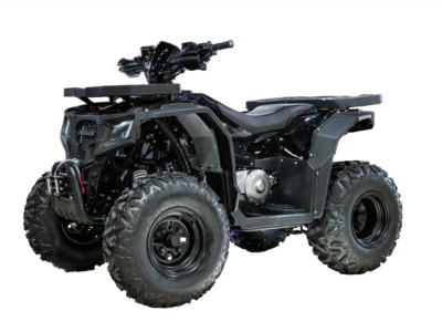 Квадроцикл PROGASI Race Jumper 200 Max Power