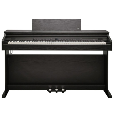 Kurzweil CUP E1 BK - чёрный