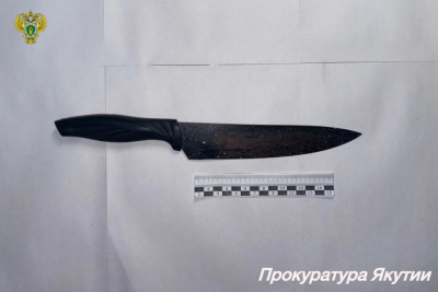 Жительница Мирного осуждена на 6,5 лет колонии за убийство мужа / ЯСИА   