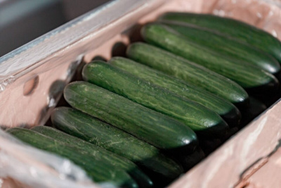 Продукты украли из цеха бортового питания в Якутске / ЯСИА Якутск Якутск Республика Саха (Якутия)