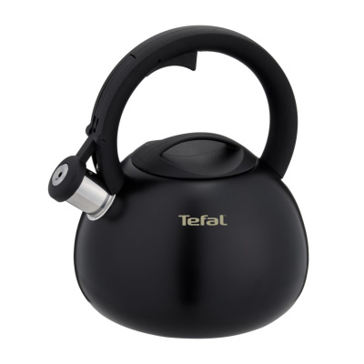 Чайник Intuition 2.5 л N4180417