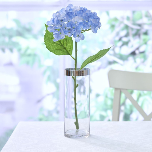 Цветок Messina, голубой