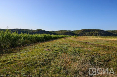 В Якутске с 25 февраля начнется выдача земельных участков участникам СВО / ЯСИА Якутск Якутск Республика Саха (Якутия)