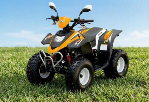 Квадроцикл STELS ATV 50 C