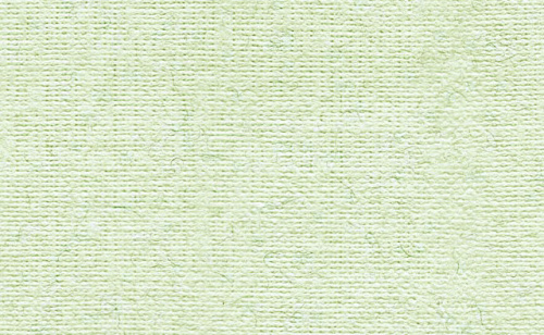 Бумага для пастели "Палаццо" 50x70 см 160 г незрелая фисташка