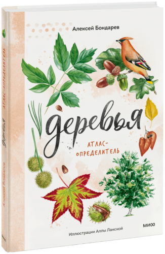 Деревья. Атлас-определитель