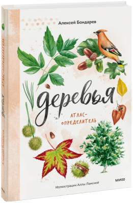 Деревья. Атлас-определитель