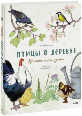 Птицы в деревне