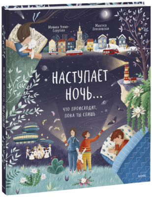 Наступает ночь...