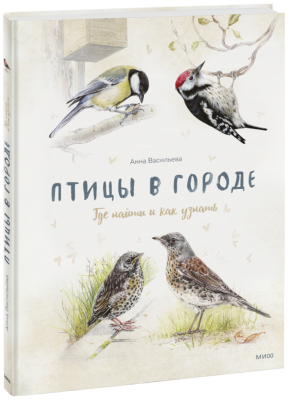 Птицы в городе