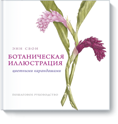 Ботаническая иллюстрация цветными карандашами