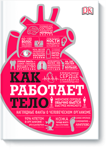 Как работает тело