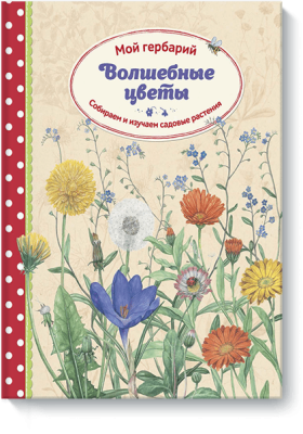 Волшебные цветы. Мой гербарий