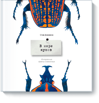 В мире жуков