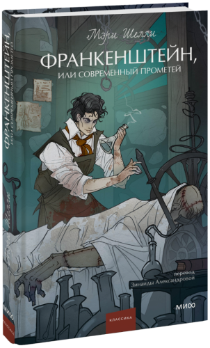Франкенштейн, или Современный Прометей. Вечные истории. Young Adult