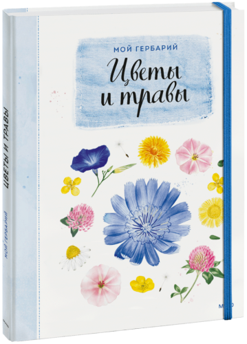 Мой гербарий. Цветы и травы