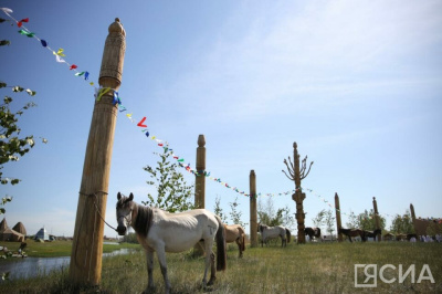Для гостей Ысыаха Олонхо организуют палаточный городок с душевыми в Кобяйском районе / Саина Титова   