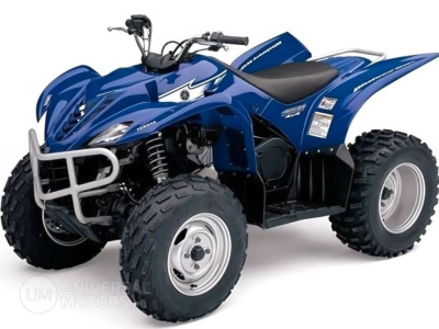Квадроцикл YAMAHA Wolverine 450 4х4