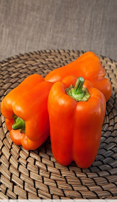 Перец сладкий Этюд 0,1 гр цв.п