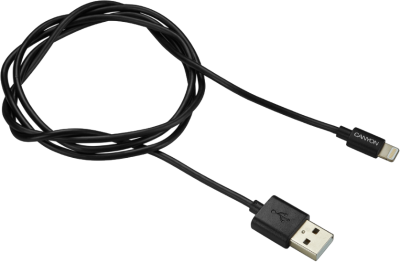 Кабель Canyon Lightning MFI MFI-1 CNS-MFICAB01B, черный