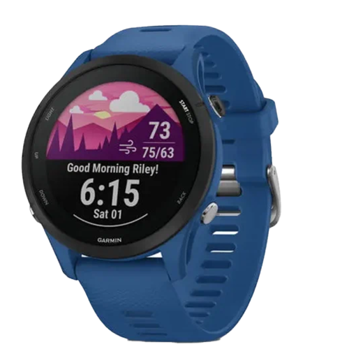 Умные часы  Garmin Forerunner 255  (010-02641-11), синий