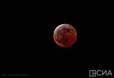 Гороскоп на 17 января 2025 года для всех знаков зодиака / ЯСИА   