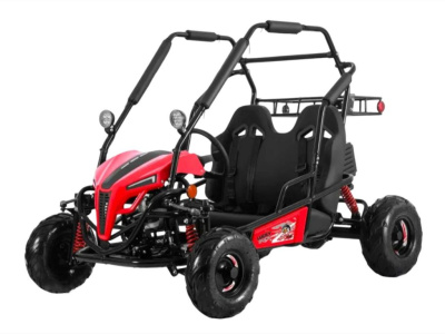 Багги LUCKY DUCK Gokart EVX 200