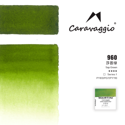 Акварель Mairtini "Caravaggio Professional" полукювета, Sap Green