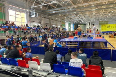 Более двухсот юных мас-рестлеров выступили в первенстве Якутии в селе Борогонцы / Дьулустаан Сергеев   