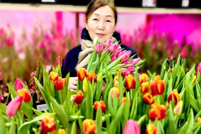 Пять тысяч тюльпанов среди зимы: семья из Горного района создала цветущий оазис / Алина Мурукова   