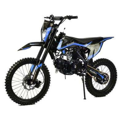 Питбайк MOTOLAND 125 GF125 E 19/16