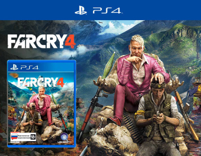 Far Cry 4 (PS4)