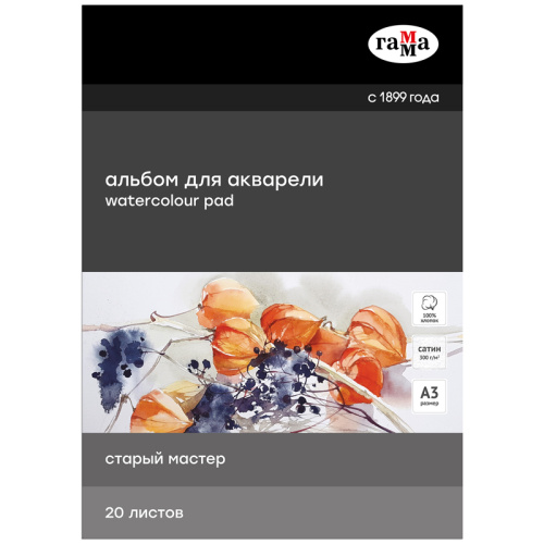 Альбом-склейка для акварели Гамма "Старый Мастер" 20 л 300 г, сатин, 100% хлопок
