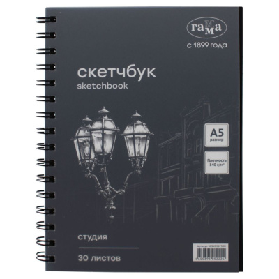 Альбом для графики на спирали Гамма "Студия" А5 30 л 140 г, черный