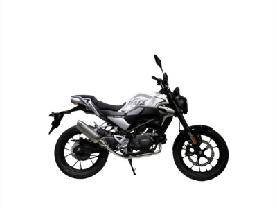 Мотоцикл SPRMOTORS STREET 250