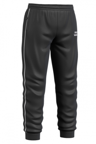 Мужские спортивные брюки Track pants