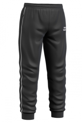 Мужские спортивные брюки Track pants