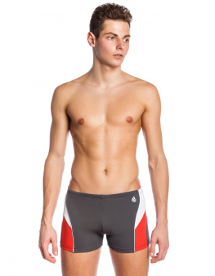 Мужские плавки-шорты SPIRIT PBT