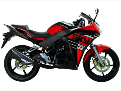 Мотоцикл Racer Skyway RC250CS