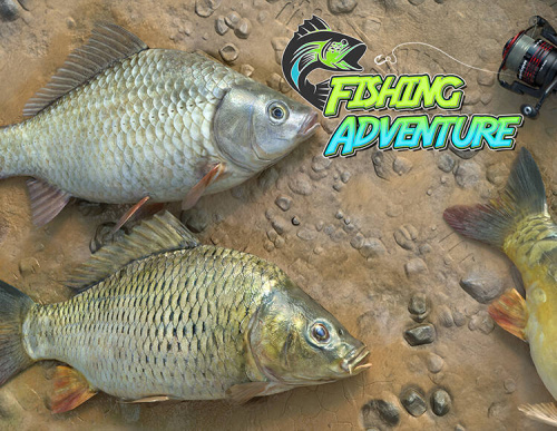 Fishing Adventure (PC)