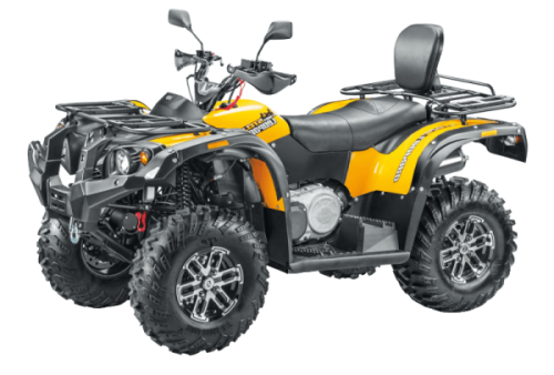 Квадроцикл СТЕЛС ATV 650 YL Leopard EFI