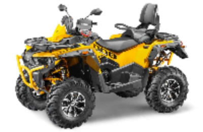 Квадроцикл СТЕЛС ATV 800 Guepard Trophy EPS CVTech