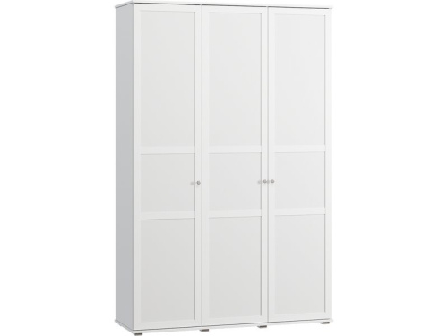Распашной шкаф Амели 3-120x220 Белый