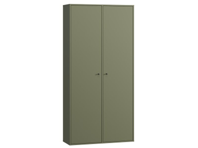 Распашной шкаф Сайрис 2-98x202 Оливковый