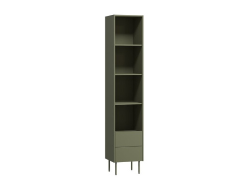Стеллаж Дигарс 43x220 Оливковый